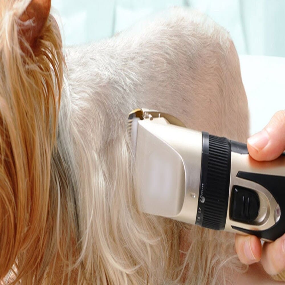 Pet Hair Clippers
